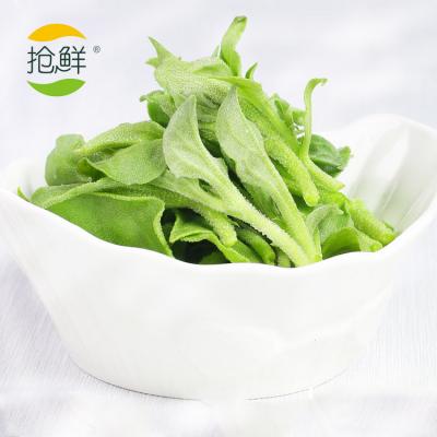 新鲜头茬非洲冰草冰菜